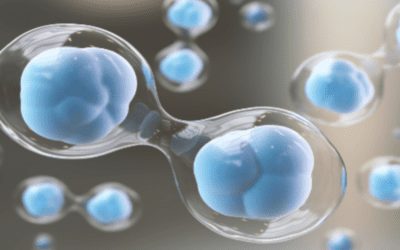What Are Mesenchymal Stem Cells?