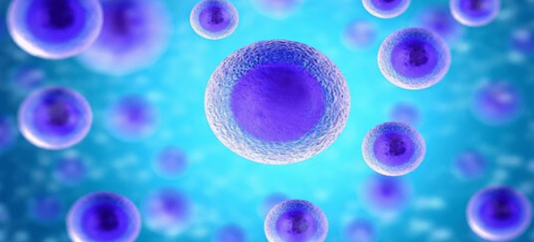 Could Stem Cell Therapy Be a Breakthrough Against MS in 2023?