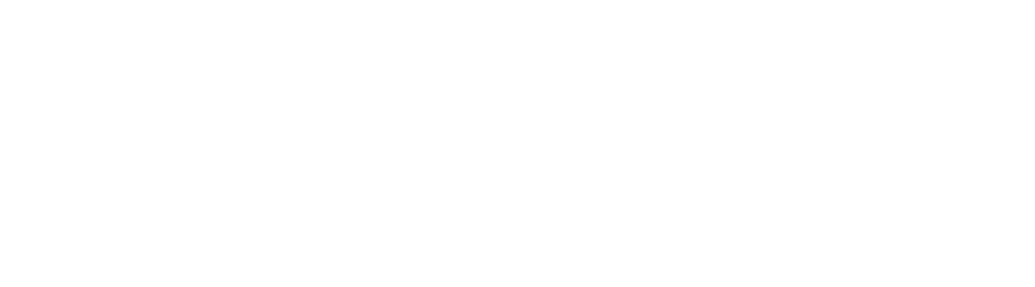 StemedixLogo_NEW-white Stemedix