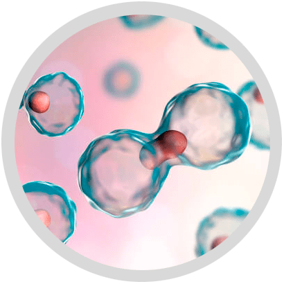 cells-in-circle What Is Stem Cell Therapy?