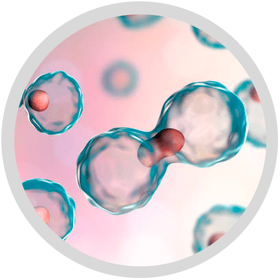 What Is Stem Cell Therapy?