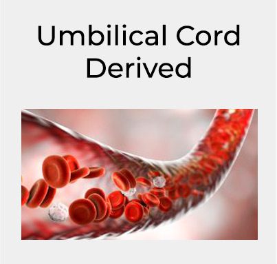 umbilical-cord-square