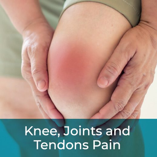 knee-joints