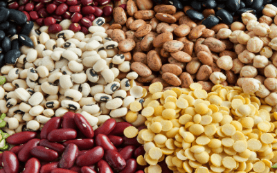 Can Beans Help with Gut Health?