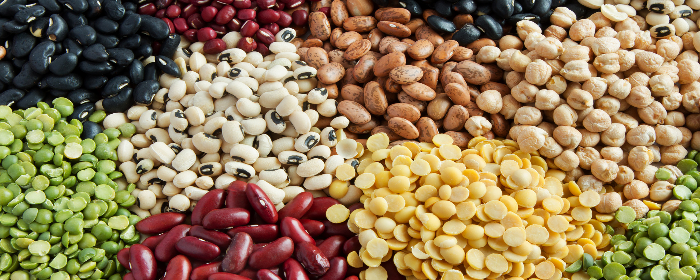 Can Beans Help with Gut Health?
