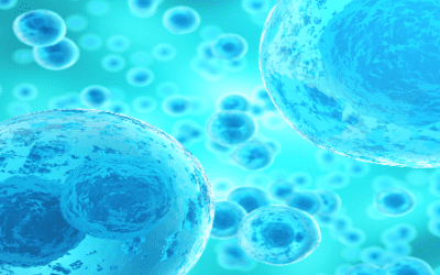 The Efficacy Of Wharton’s Jelly Mesenchymal Stem Cells For Treating Type 2 Diabetes