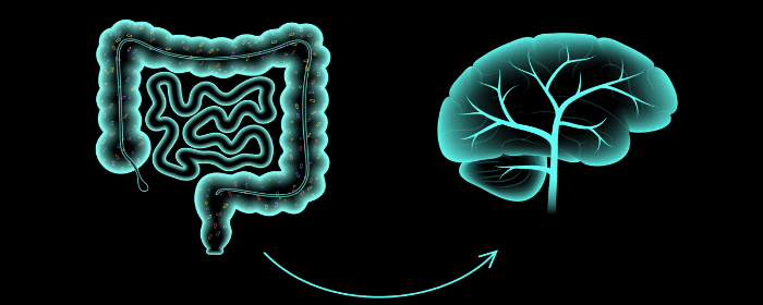 Microorganisms in the Gut Are Linked to Cognitive Function