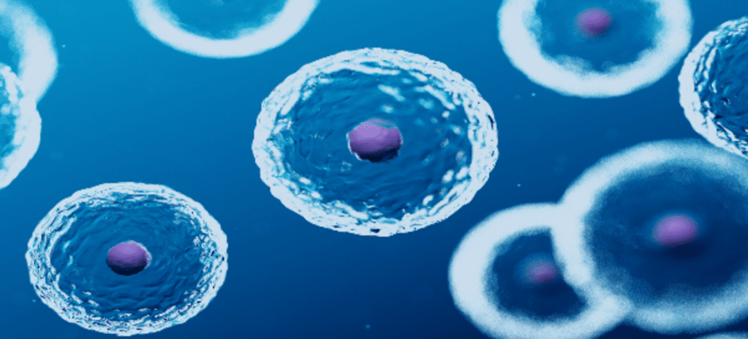 Stem Cells for Transverse Myelitis