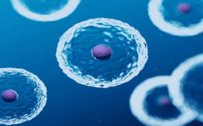 Stem Cells for Transverse Myelitis