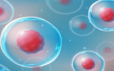 What Are Adult Stem Cells?