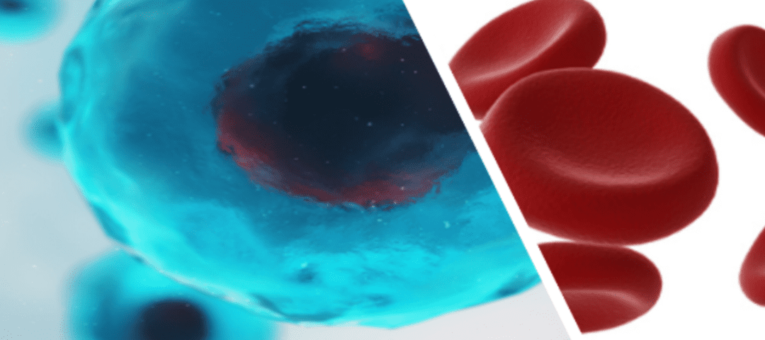 PRP & Stem Cells – What is the Difference?