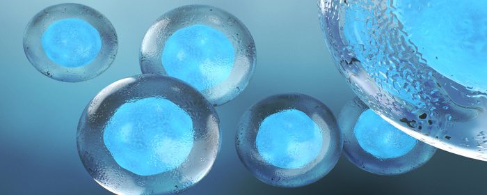 A Review of Circulating Mesenchymal Stem Cells