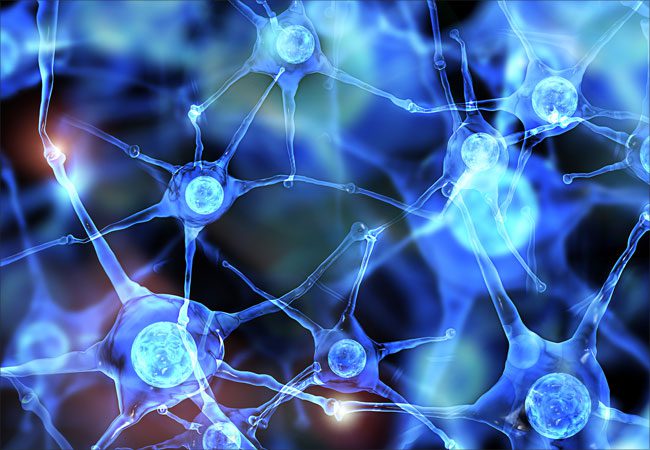 Florida Regenerative Medicine Florida Regenerative Medicine