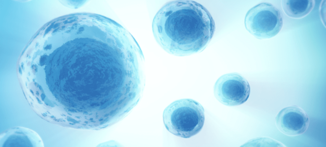 What Does Stem Cell Therapy Cost in 2023