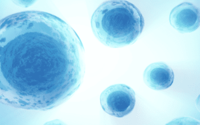 What Does Stem Cell Therapy Cost in 2023?