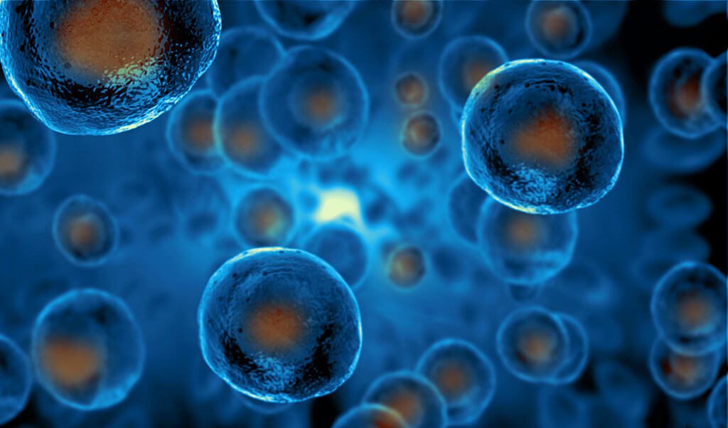 What Are Mesenchymal Stem Cells