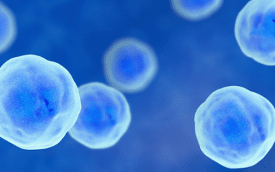 Regenerative Medicine Therapy for Stroke Using Mesenchymal Stem Cells
