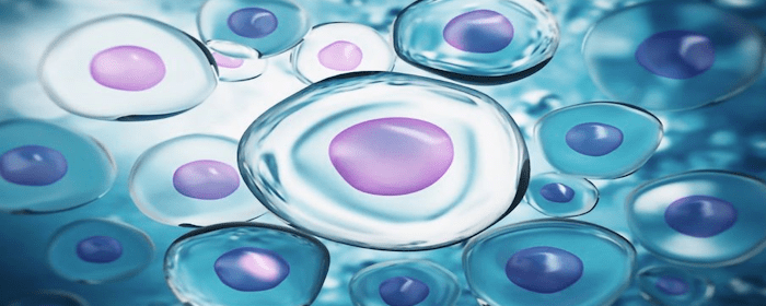 Mesenchymal Stem Cell Treatment for Crohn’s Disease