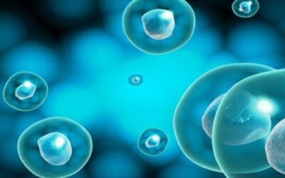 Stem Cell Therapy and the Recovery Process