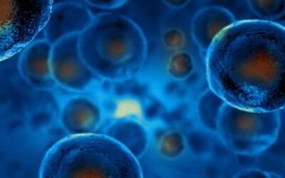 How Does Stem Cell Therapy Work?