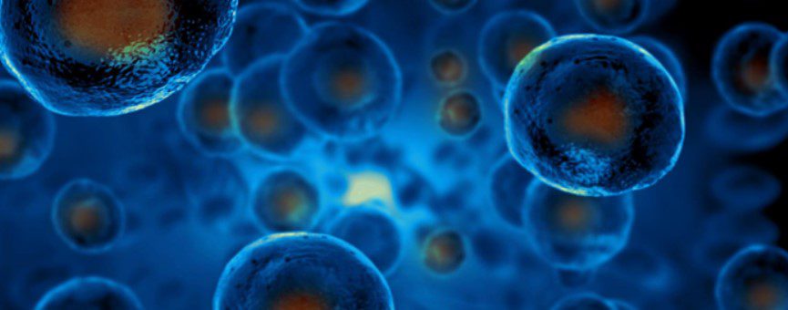 How Does Stem Cell Therapy Work