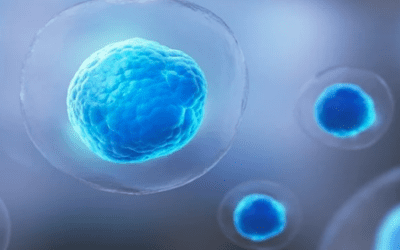 Mesenchymal Stem Cells and MSCs-Derived Extracellular Vesicles Immunomodulatory Effects in Systemic Lupus Erythematosus