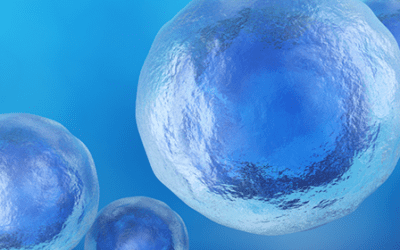 Mesenchymal Stem Cell Transplantation in the Management of Autoimmune Diseases