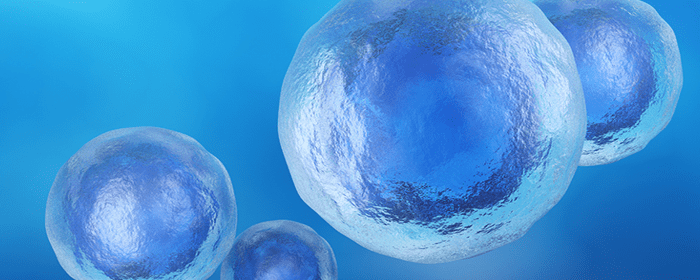 Mesenchymal Stem Cell Transplantation in the Management of Autoimmune Diseases
