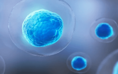 Regenerative Medicine Using Mesenchymal Stem Cells