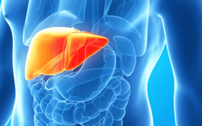 Regenerative Medicine Using Mesenchymal Stem Cells for the Treatment of Liver Disease