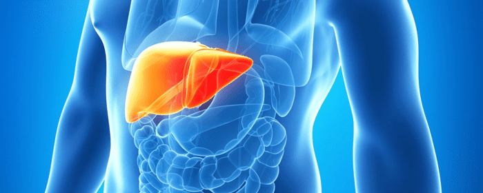 Regenerative Medicine Using Mesenchymal Stem Cells for the Treatment of Liver Disease