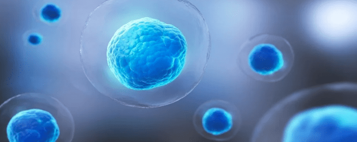Regenerative Medicine Using Mesenchymal Stem Cells