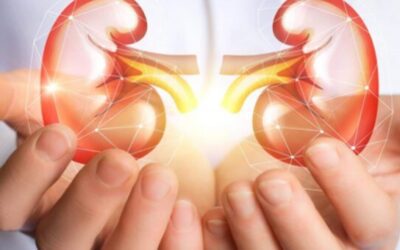 Renal Hypertension Signs, Symptoms, and Treatments