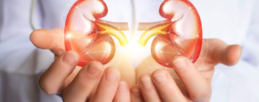 Renal Hypertension Signs, Symptoms, and Treatments