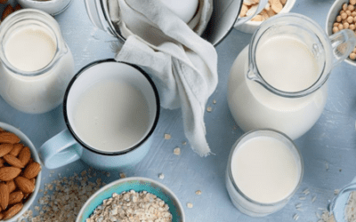 Exploring the Nutritional Benefits of Plant-Based Dairy Products