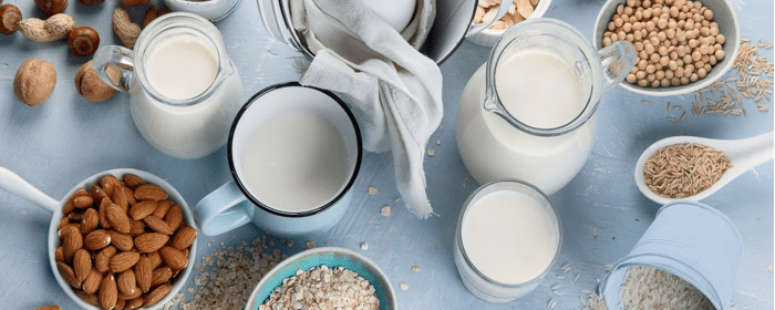 Exploring the Nutritional Benefits of Plant-Based Dairy Products