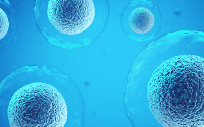 Long-Term Efficacy and Safety of Mesenchymal Stem Cell Therapy in Decompensated Liver Cirrhosis: A Randomized Controlled Trial