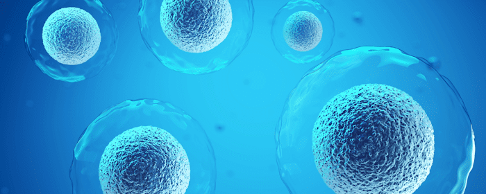 Long-Term Efficacy and Safety of Mesenchymal Stem Cell Therapy in Decompensated Liver Cirrhosis A Randomized Controlled Trial