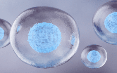 Mesenchymal Stem Cells and Exosomes: A New Frontier in Treating Intervertebral Disc Disease