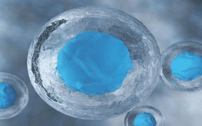 Present State of Mesenchymal Stem Treatments for Neurological Disorders