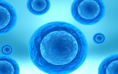 Advancements in Mesenchymal Stromal Cell Therapy for Cartilage Regeneration in Knee Osteoarthritis