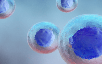 Chondrocyte and Mesenchymal Stem Cell-Based Therapies to Help Manage in Osteoarthritis and Other Orthopedic Conditions 