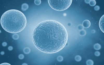 Exploring the Therapeutic Potential of Stem Cell-Derived Exosomes in Respiratory Diseases: A Pathway for Pulmonary Delivery