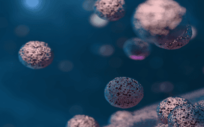 Exosome-Facilitated Spinal Cord Injury Repair: Advancing a Therapeutic Modality