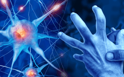 The Potential of Mesenchymal Stem Cells in Parkinson’s Disease Treatment