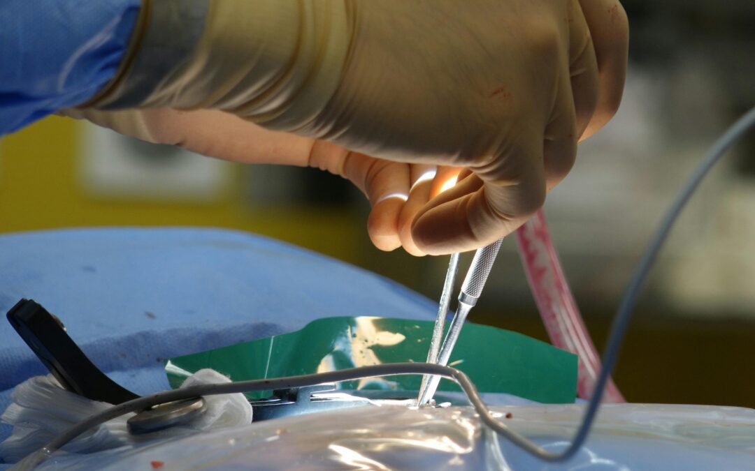 Choosing the Best Regenerative Medicine Treatment for Your Spinal Cord Injury in Saint Petersburg, FL