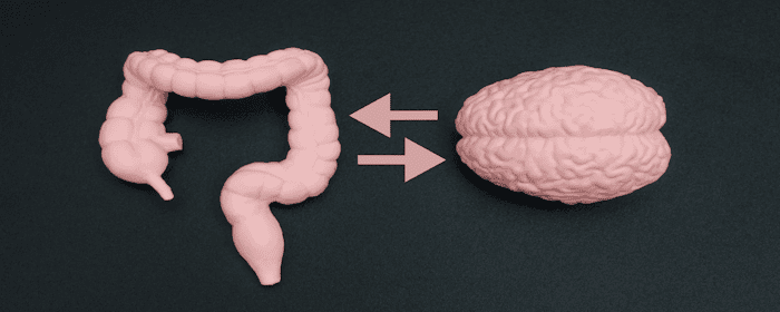 The Connection Between Gut Health and Mental Health