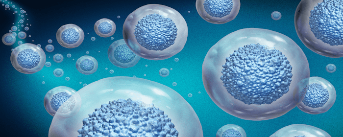 Mesenchymal Stem Cells for Degenerative Disc Disease