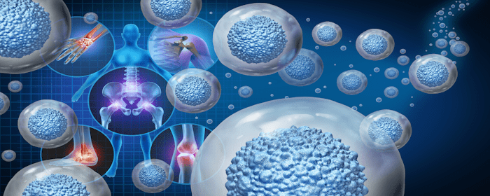 Mesenchymal Stem Cells in Regenerative Medicine: Mechanisms, Clinical Progress, and Future Directions