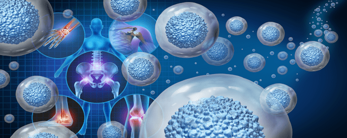 Supporting Cellular Health Through Daily Habits